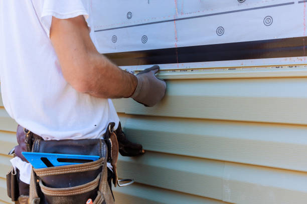 Affordable Vinyl Siding solutions in Iron Station, NC